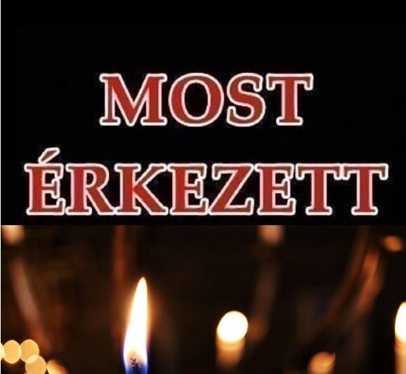 💔 Szívszorító üzenet: Édesanya két gyermekét vesztette a Verőcei hajóbalesetben – ezt üzente a motorcsónak vezetőjének! 😢👀