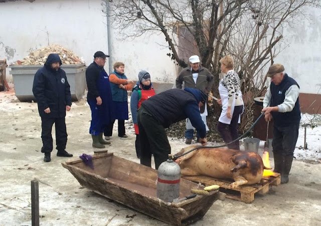 ⚠️ FIGYELEM! Házi disznóvágáshoz mostantól engedély szükséges 🐖 👇 ITT a kérelem: már csak így lehet disznót vágni!