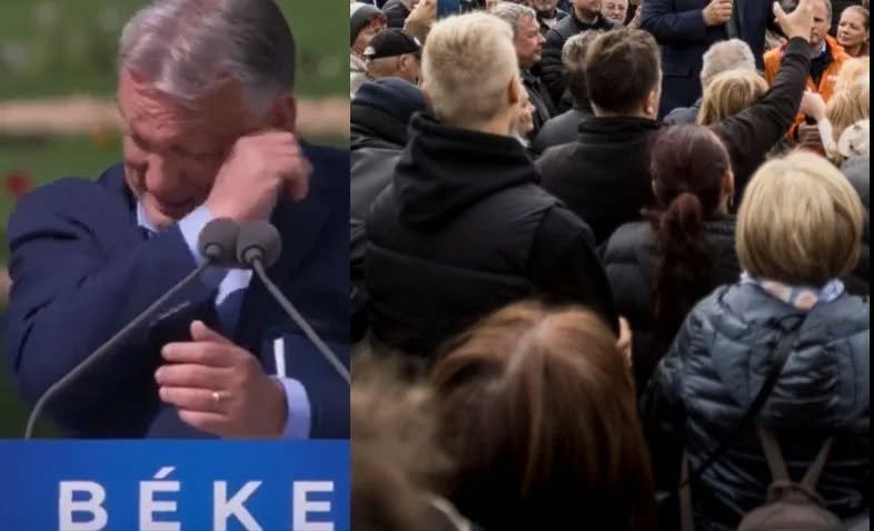 Az emberek a saját szemüknek se hittek, hogy EZ megtörténhet 👀