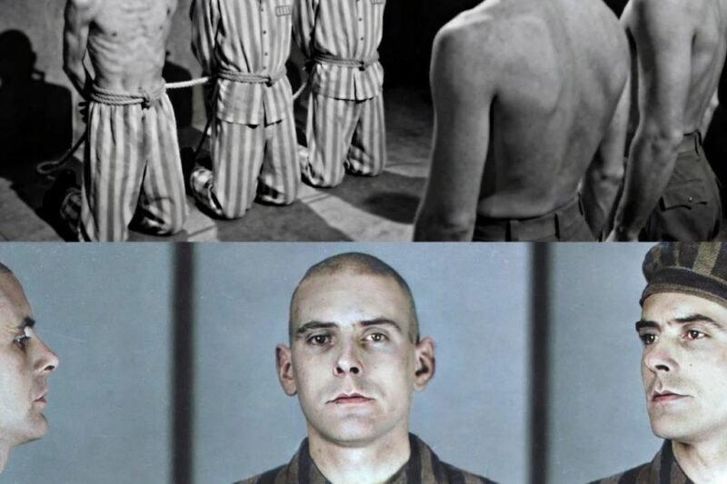 2001-ben egy francia történész, Dr. Isabelle Fontaine kutatásokat végzett a bajorországi Flossenbenbergi tábor archívumában. Dokumentumokat keresett a háború alatt deportált francia foglyokról. Egy poros dobozban talált egy nyilvántartást, amelyet még soha nem látott egyetlen tanulmányban sem.  A nyilvántartás furcsa címet viselt: Lustknaben-Verzeichnis. Németül ez azt jelentette, hogy ” az Örömfiúk nyilvántartása.”Dr. Fontaine megnyitotta a nyilvántartást; benne több száz név volt, többnyire francia nevek. Minden név mellett egy kézzel rajzolt rózsaszín háromszög és egy dátum-mindig egy dátum, soha kettő.  Nem értette azonnal, hogy mit néz. Csak ezt az információt más archívumokkal keresztezve fedezte fel az igazságot. A Lustknaben, az “öröm fiúk” a francia homoszexuális foglyok egy meghatározott csoportja volt. Fiatalságuk, fizikai megjelenésük és bizonyos tulajdonságaik miatt választották őket, amelyeket az SS kívánatosnak tartott.  És az egyes nevek melletti dátum nem a táborba érkezés napja volt, hanem a haláluk napja. De ami igazán dermesztővé tette ezt a felfedezést, az az, ami a kiválasztás és a kivégzés között történt. Mert az” öröm fiúk ” nem haltak meg azonnal. Hetekig, néha hónapokig éltek egy külön barakkban…………….Részletek az alábbiakban