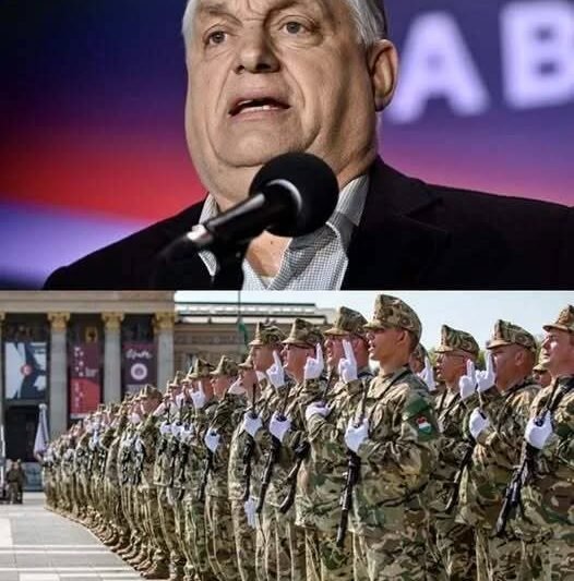 🚨 Miniszterelnöki bejelentés! 😳 Azonnali katonai mozgósítás indult Magyarországon – ami most kiderült, sokakat sokkolt 💥  👇 A teljes cikk a kommentekben olvasható 👇