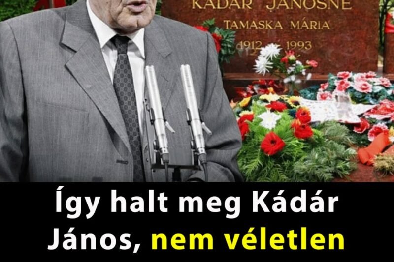 😱 Titok a történelemből! Így halt meg Kádár János – ezért hallgatnak róla a tankönyvek 👇 👉 Cikk a kommentekben