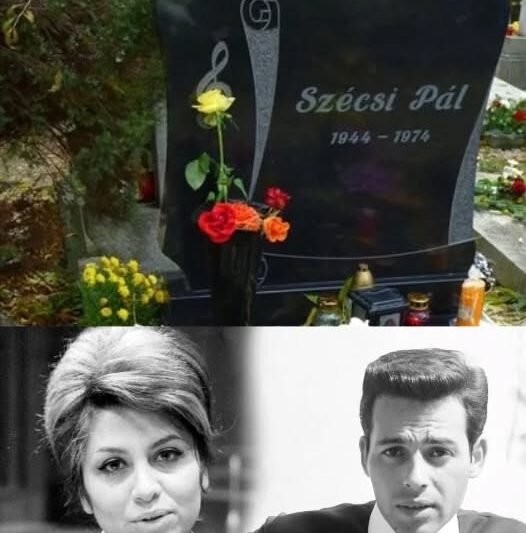 Újra vita indult Szécsi Pál halálának körülményeiről 😱 Egy korábbi nyilatkozat most ismét nagy figyelmet kapott, és sok kérdést vet fel a múlt eseményeivel kapcsolatban
