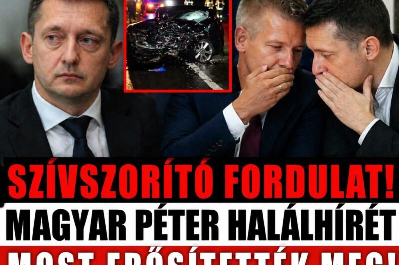 Új fordulat Magyar Péter ügyében: váratlan részletek kerültek napvilágra
