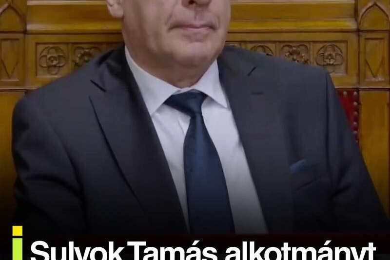 Egyre nagyobb a vita Sulyok Tamás alkotmányos szerepe körül