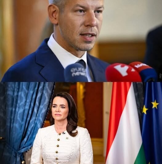 BREAKING!!! 😱🔥 Elszabadultak az indulatok a kegyelmi ügy körül, miután új információk kerültek nyilvánosságra 🤯 A „titkos dosszié” nyilvánosságra hozatala komoly politikai és közéleti hullámokat indított el!